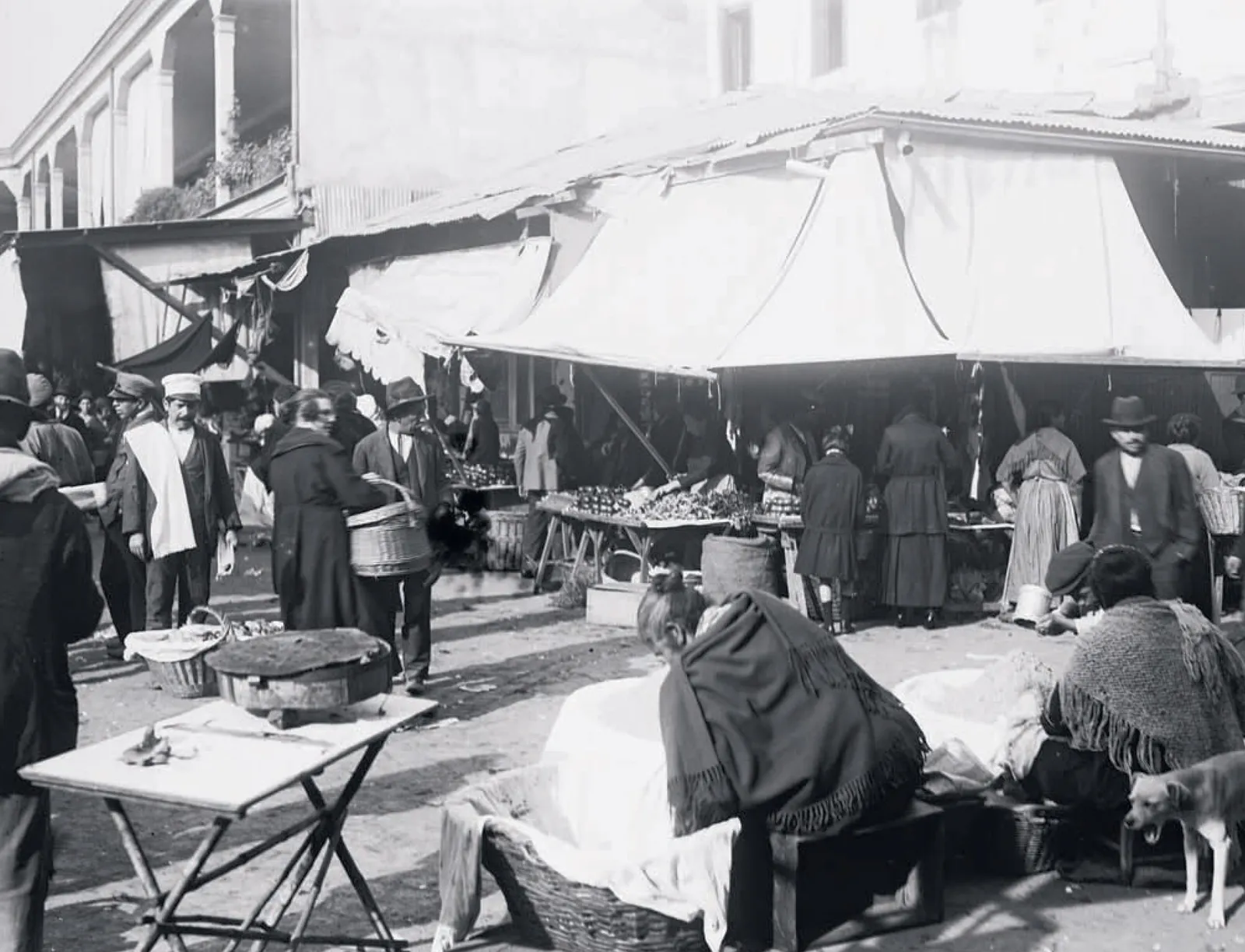 La vega del Mapocho en 1895