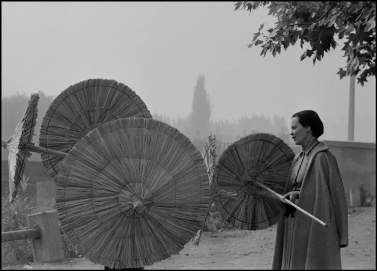 Mujer comprando protectores de plantas en 1954