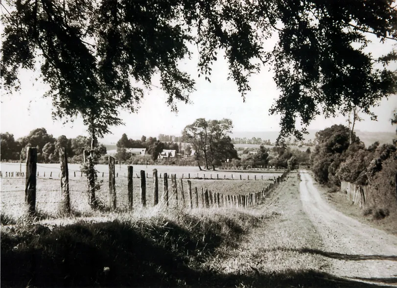 Calle Sanger de Temuco en los 50s.