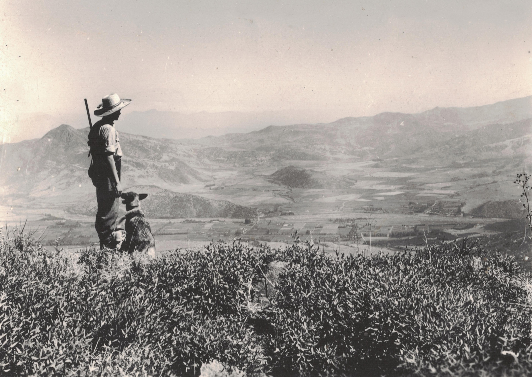 Vista desde el Cerro Provincia en 1949