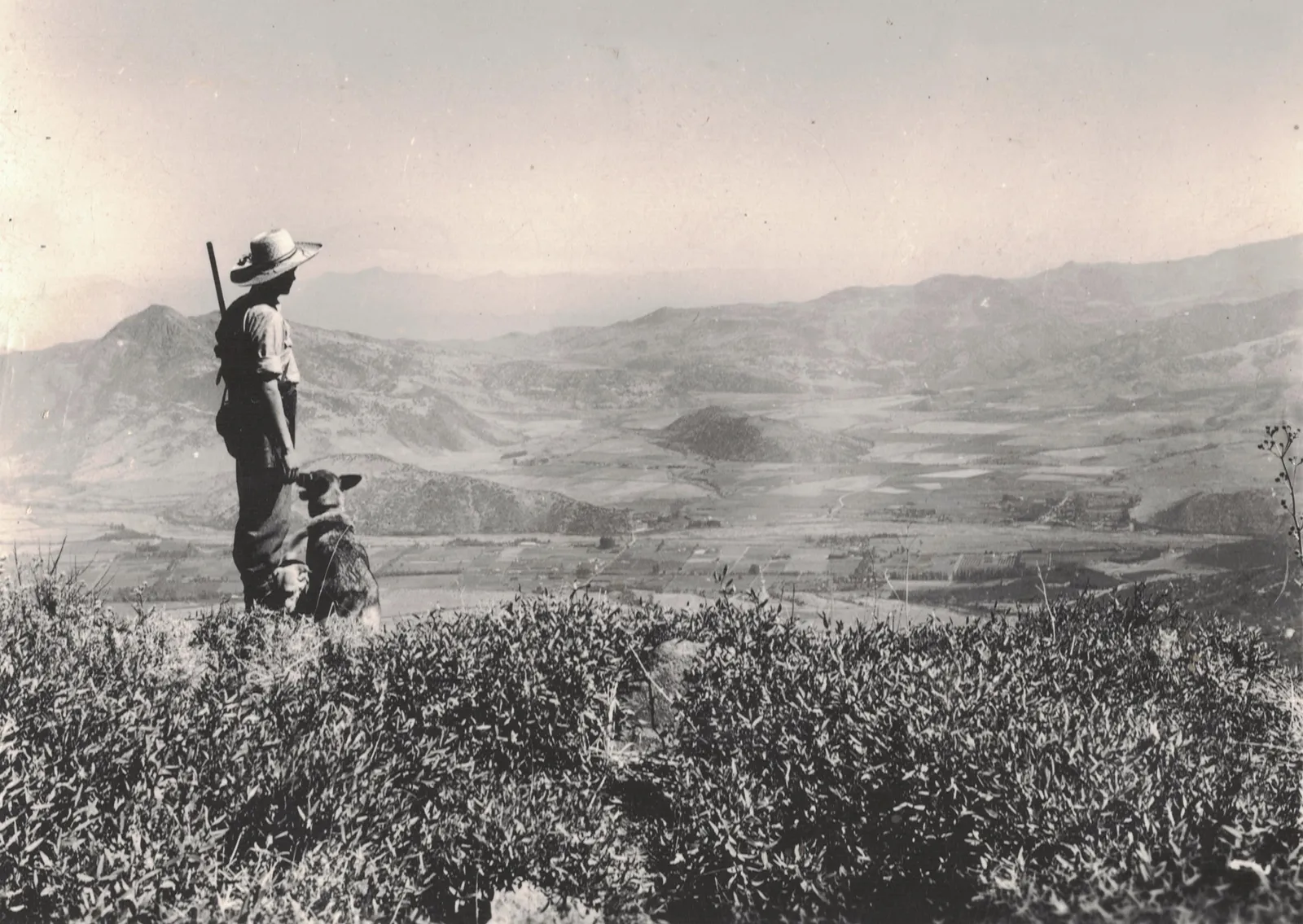 Vista desde el Cerro Provincia en 1949