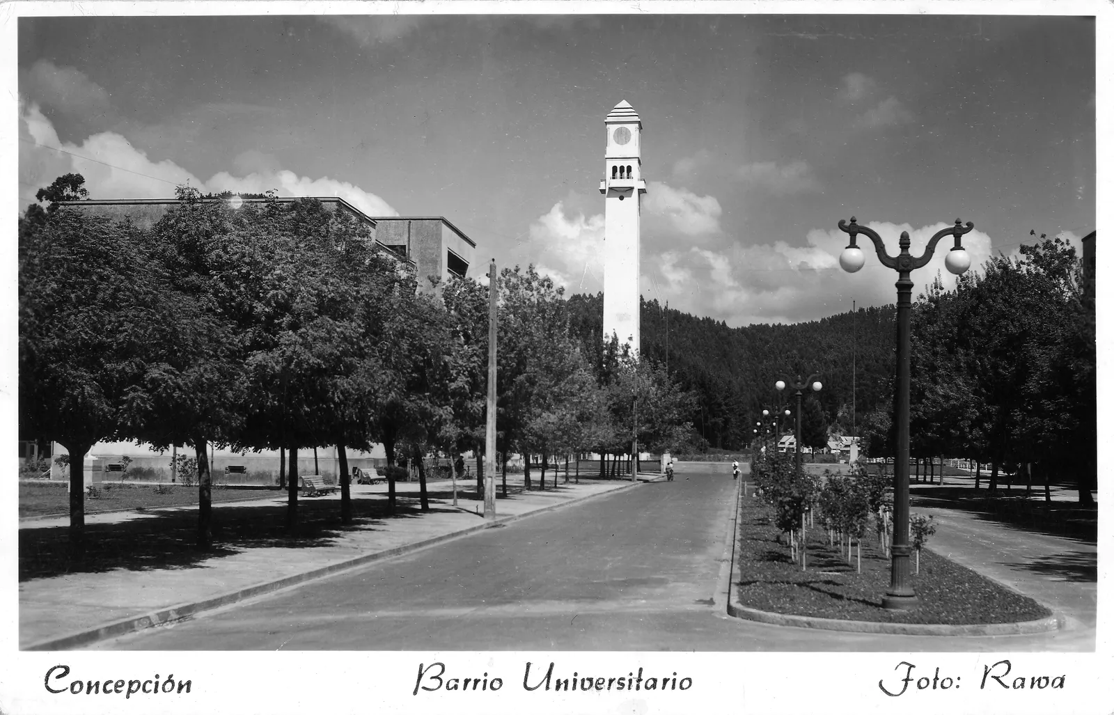 Campanil y Avenida Central de la Universidad de Concepción ca 1945