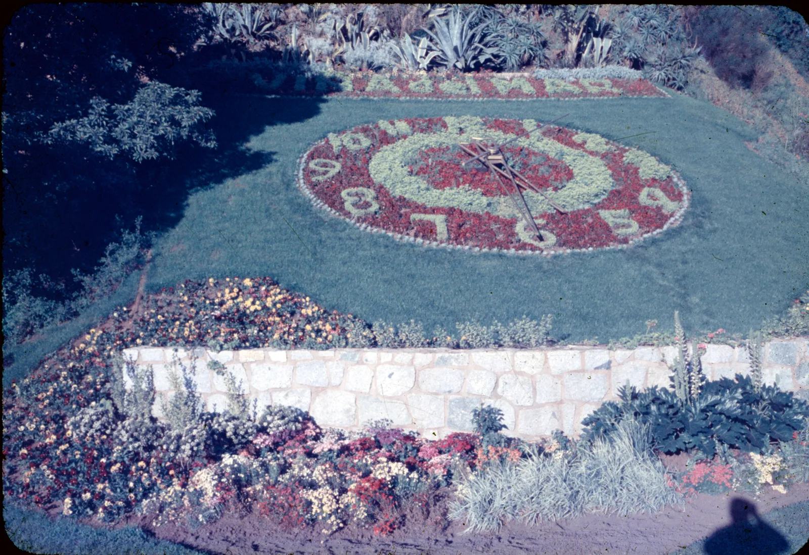 Reloj de Flores, Viña del Mar Años 60's