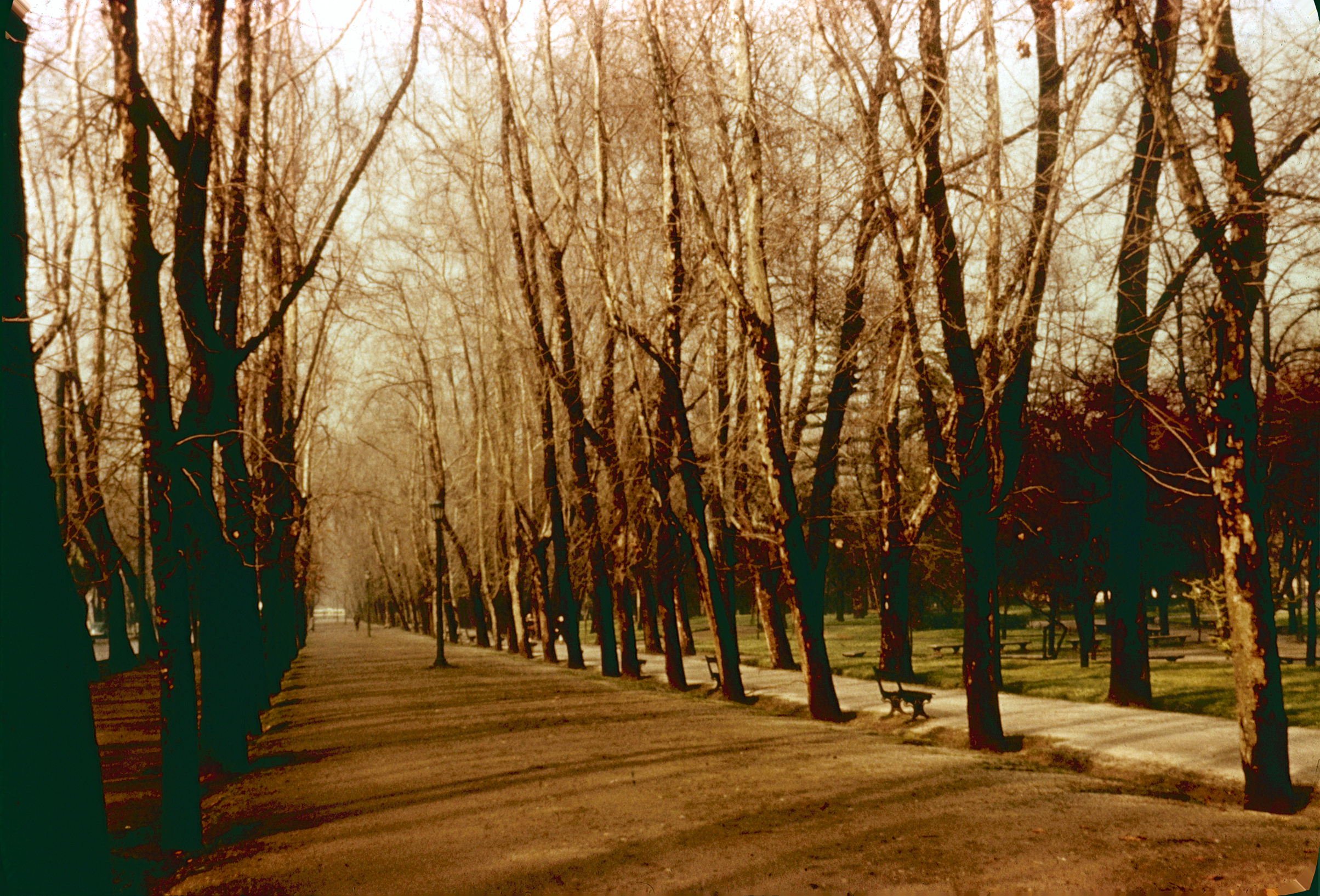 Un paseo por el Parque Forestal en los 60´s