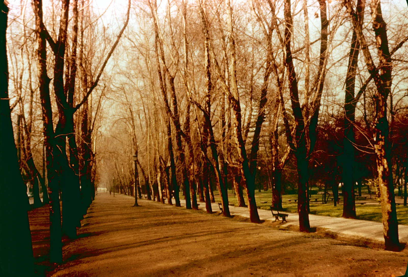 Un paseo por el Parque Forestal en los 60´s