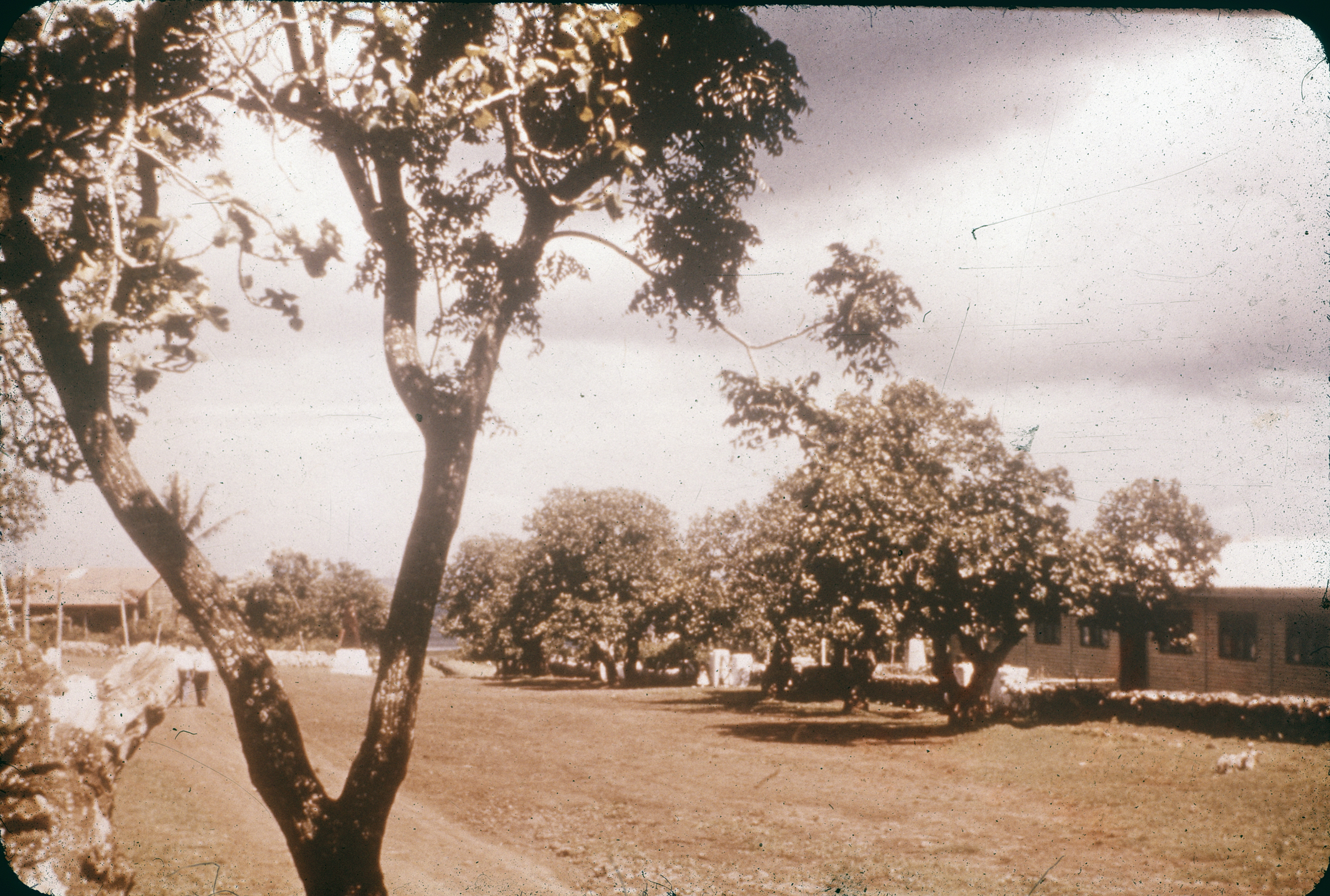 Jardín en Isla de Pascua años 60s