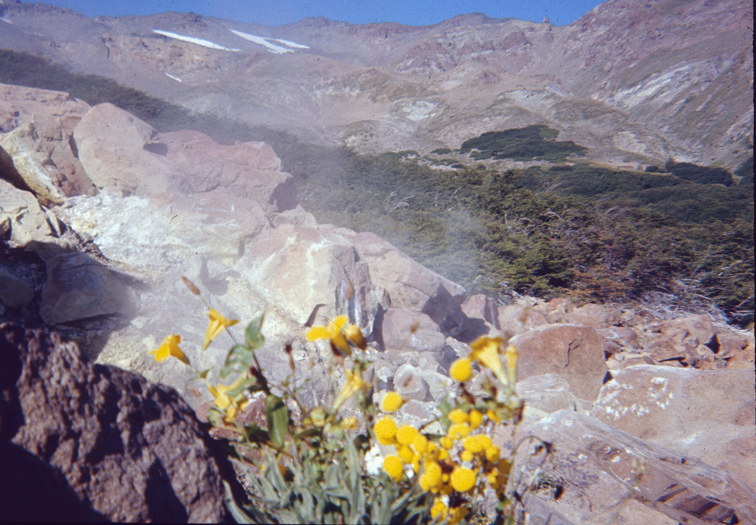 Valle Cordillerano en 1960
