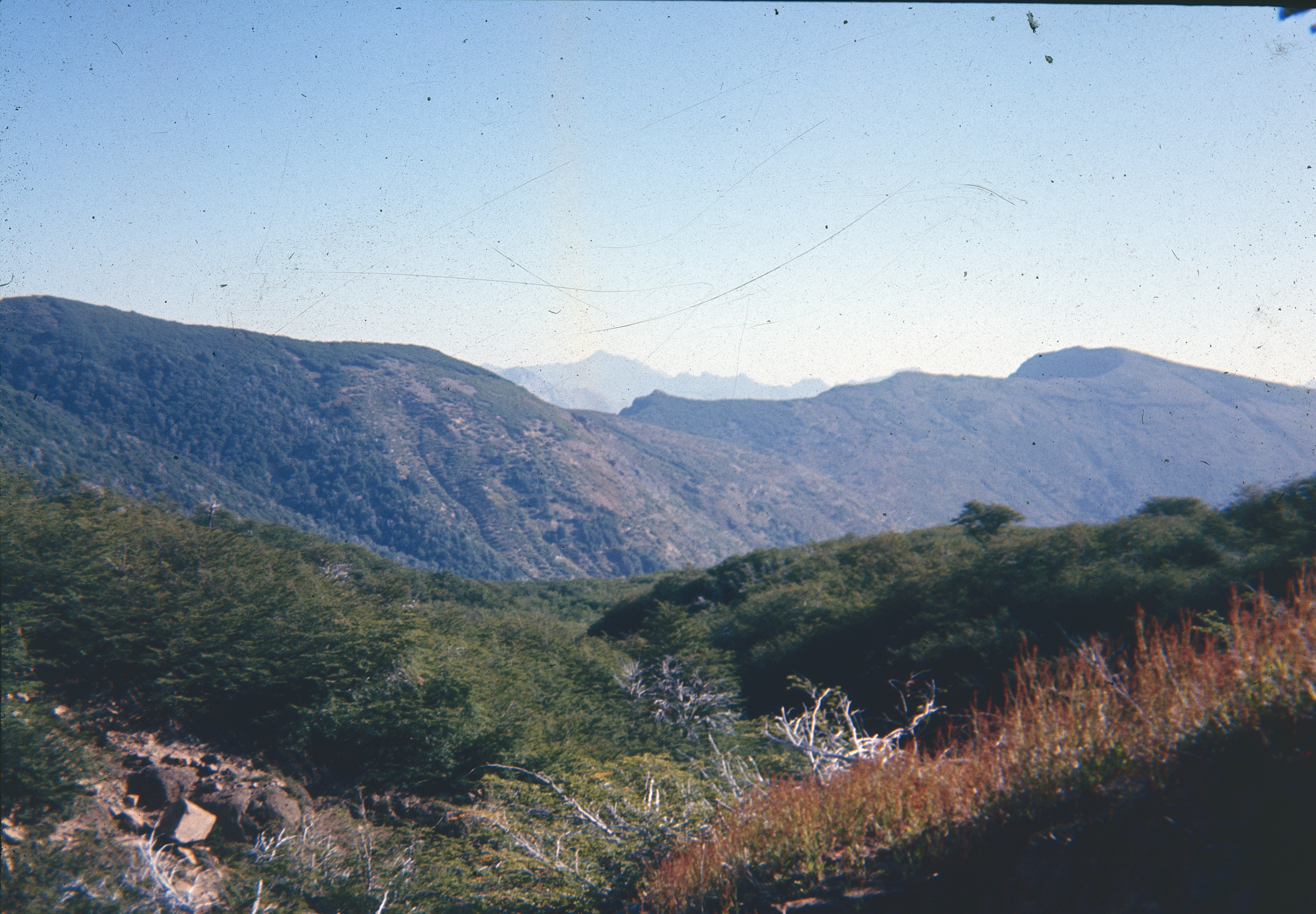 Probablemente cerros en Robnson Crusoe, 60s