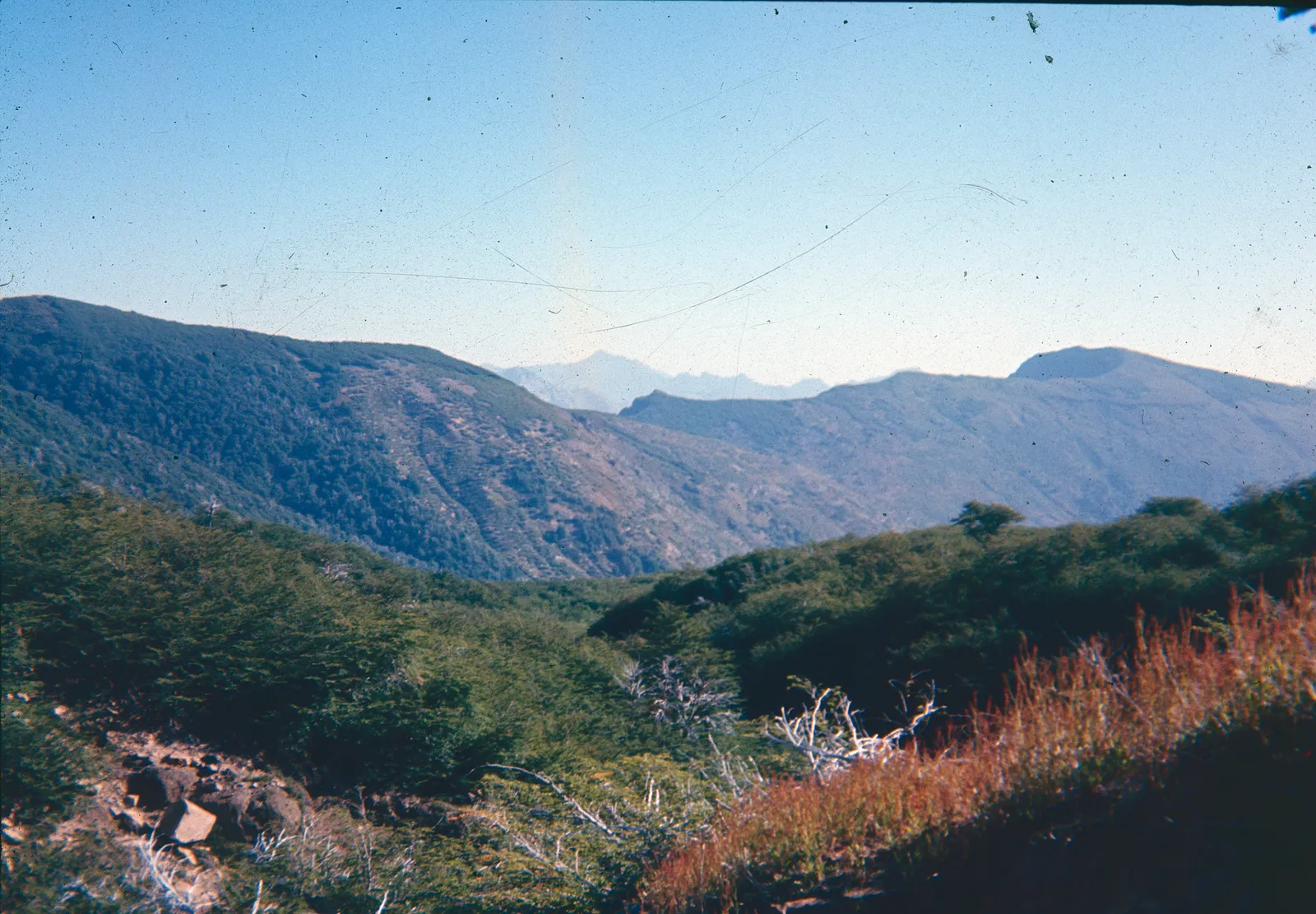 Probablemente cerros en Robnson Crusoe, 60s