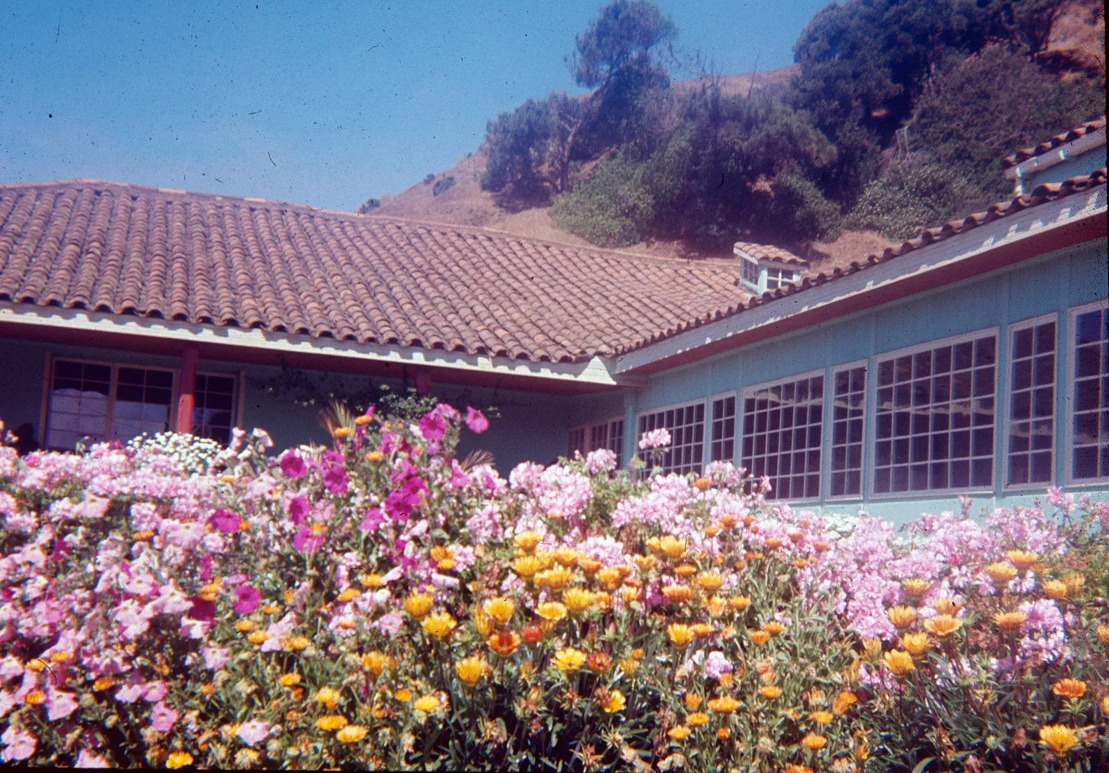 Casa en pueblo de Llico 1960