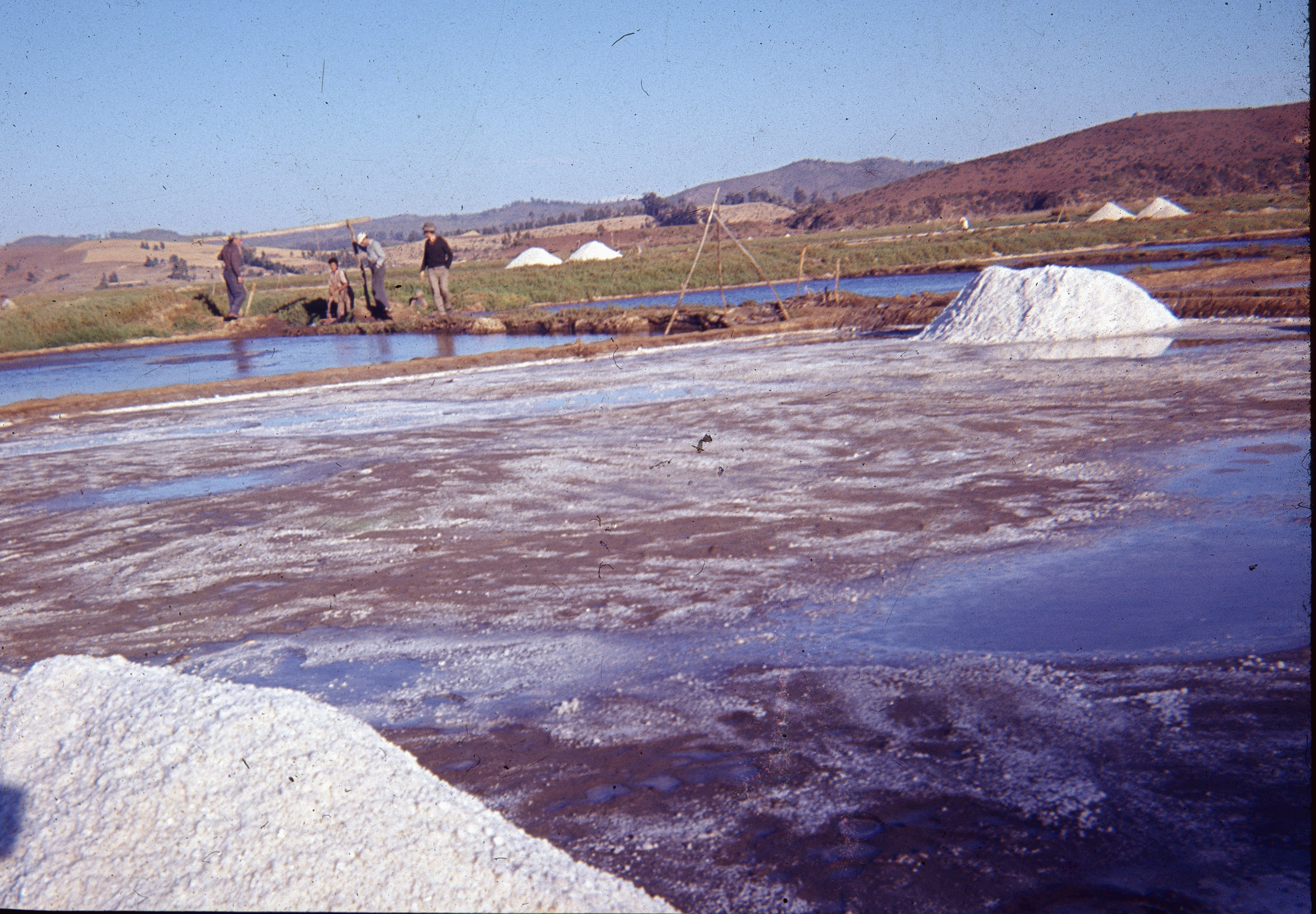 Salinas de Lo Valdivia, Boyeruca, años 60s