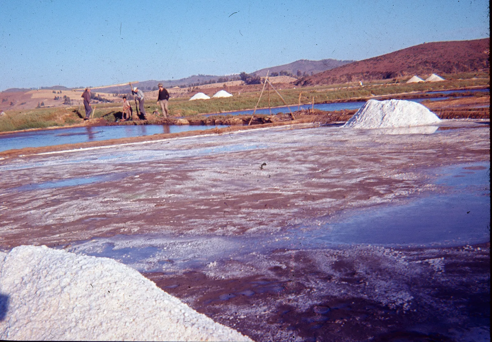 Salinas de Lo Valdivia, Boyeruca, años 60s