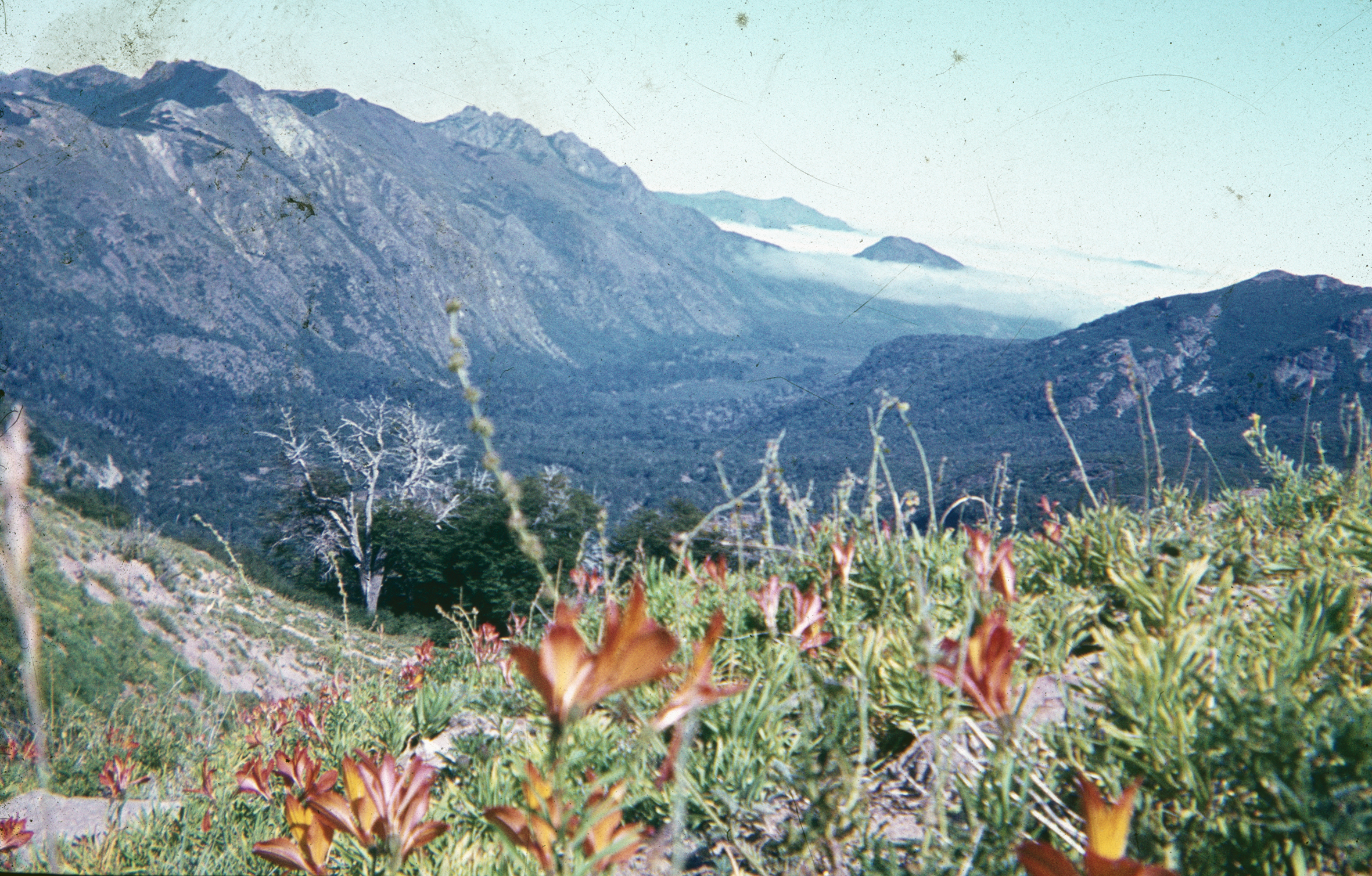 Valle Río Teno en los 60s