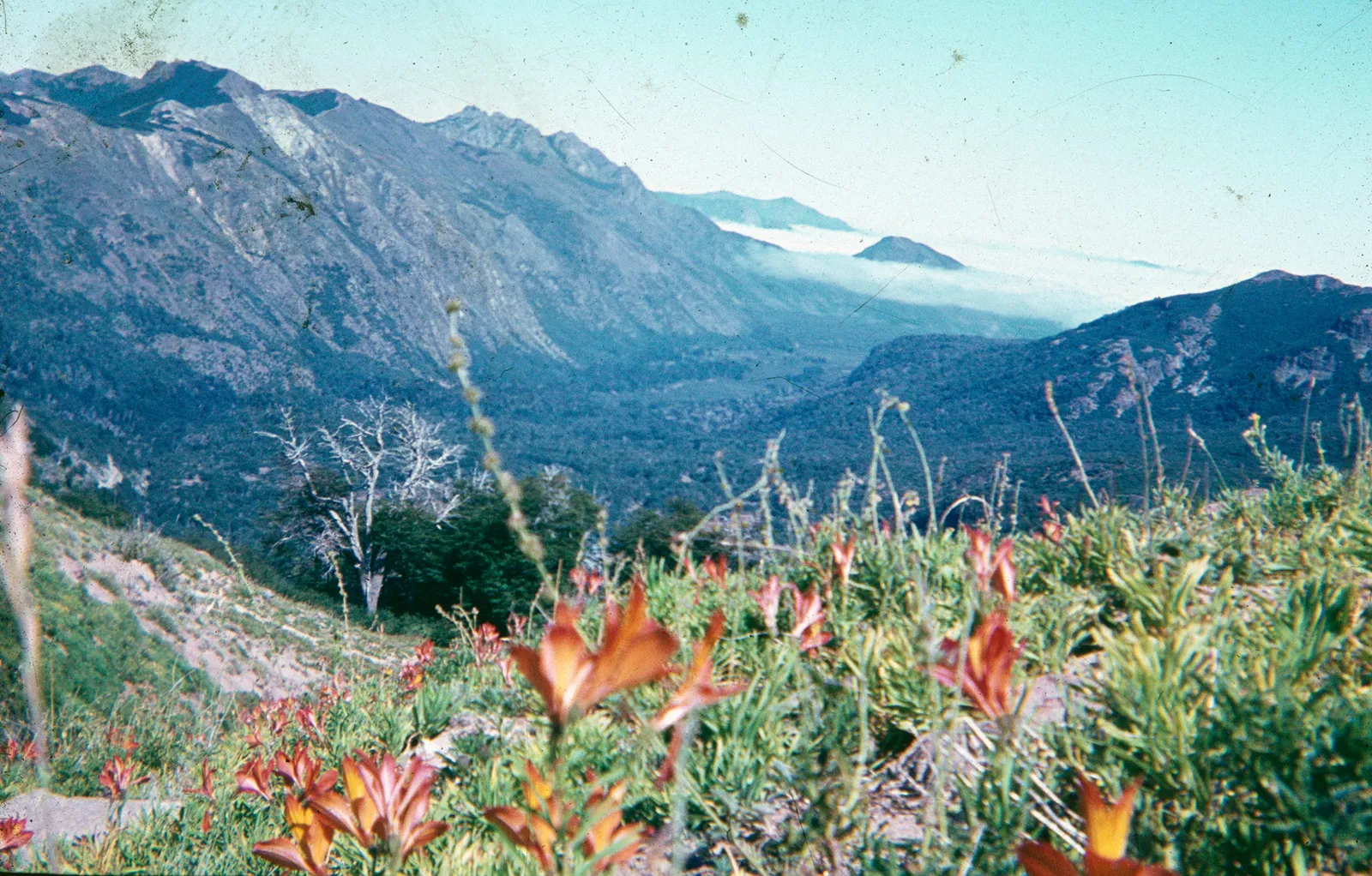 Valle Río Teno en los 60s