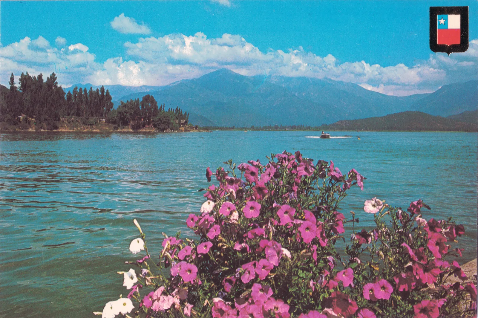 Laguna de Aculeo, Paine, 1983
