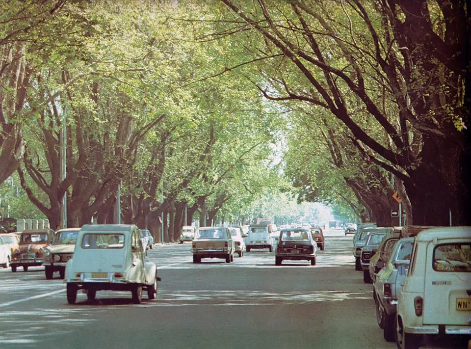 Avenida Libertad, Viña del Mar Años 70's