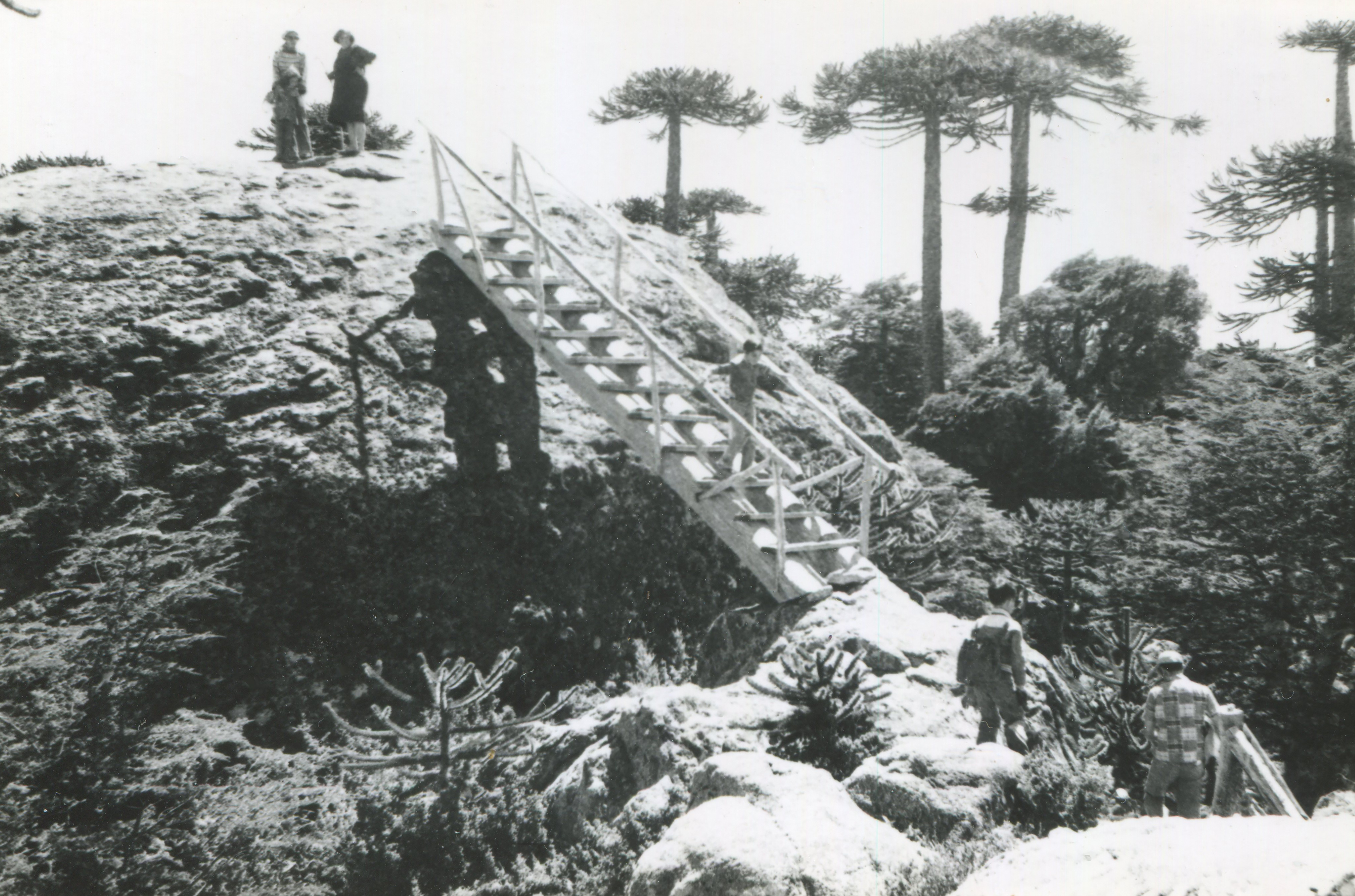 Parque Nacional Nahuelbuta en 1950