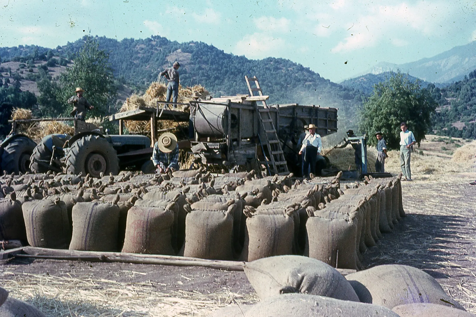Trabajadores del trigo en 1967