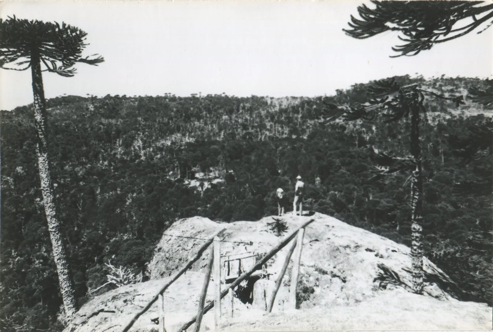 Parque Nacional Nahuelbuta, años 50s