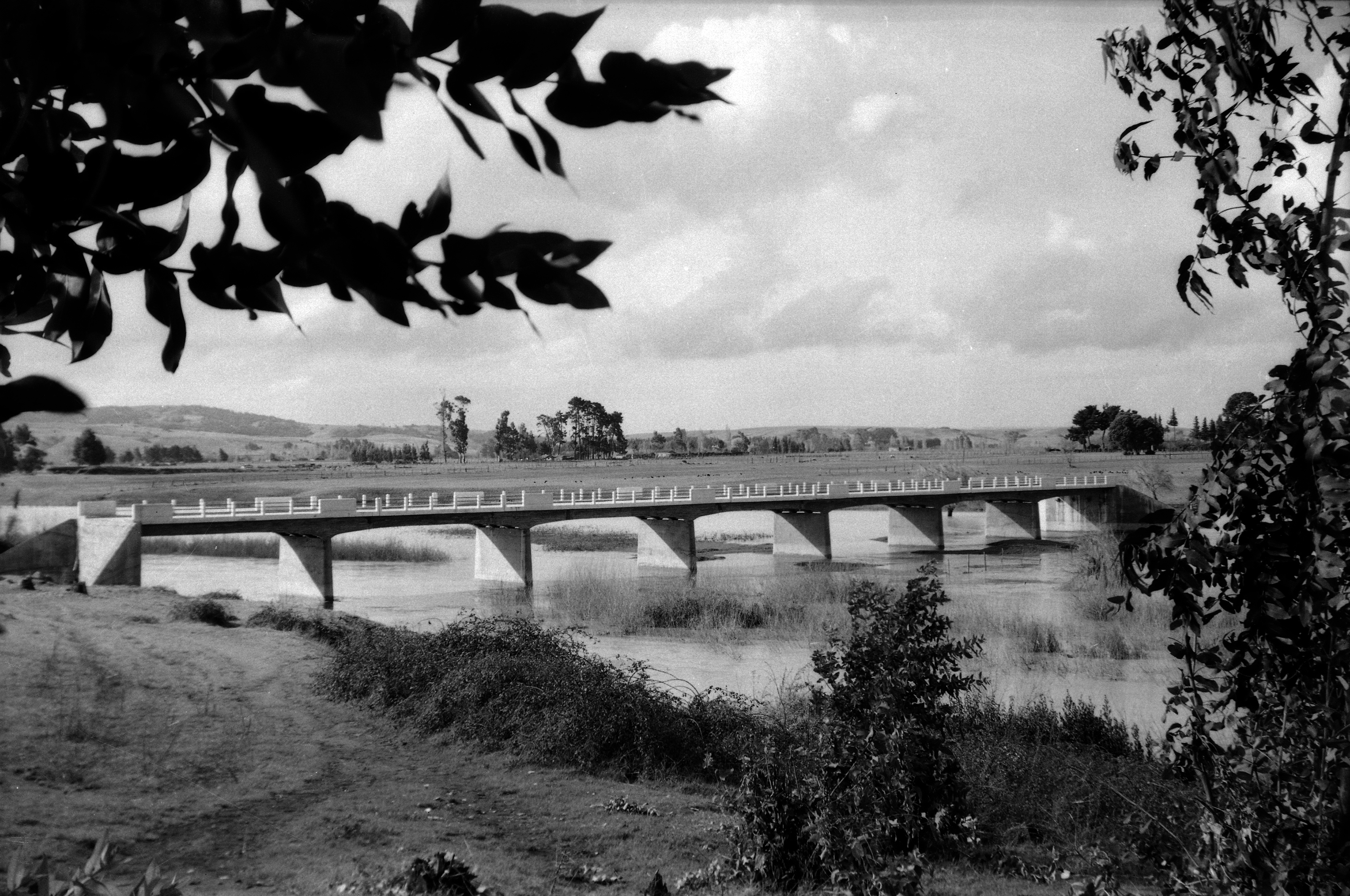 Puente Vergara de angol en 1948