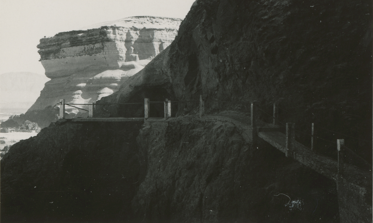 Farellones costeros de Antofagasta en 1950
