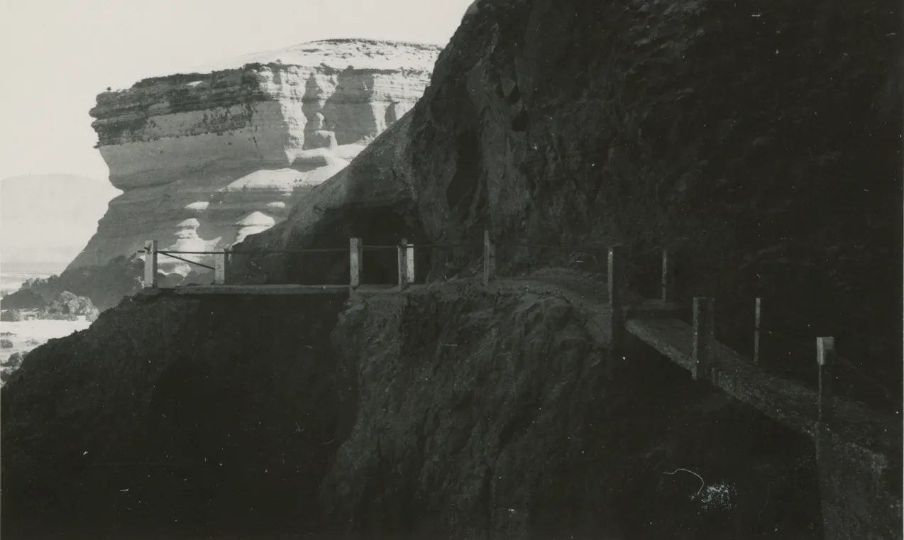 Farellones costeros de Antofagasta en 1950