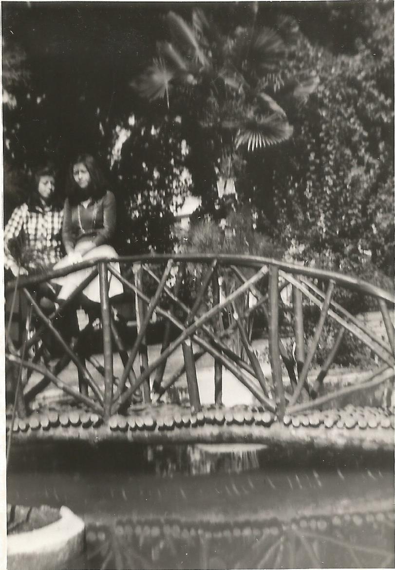 Puente de la Plaza Brasil de San Francisco de Limache, 1970