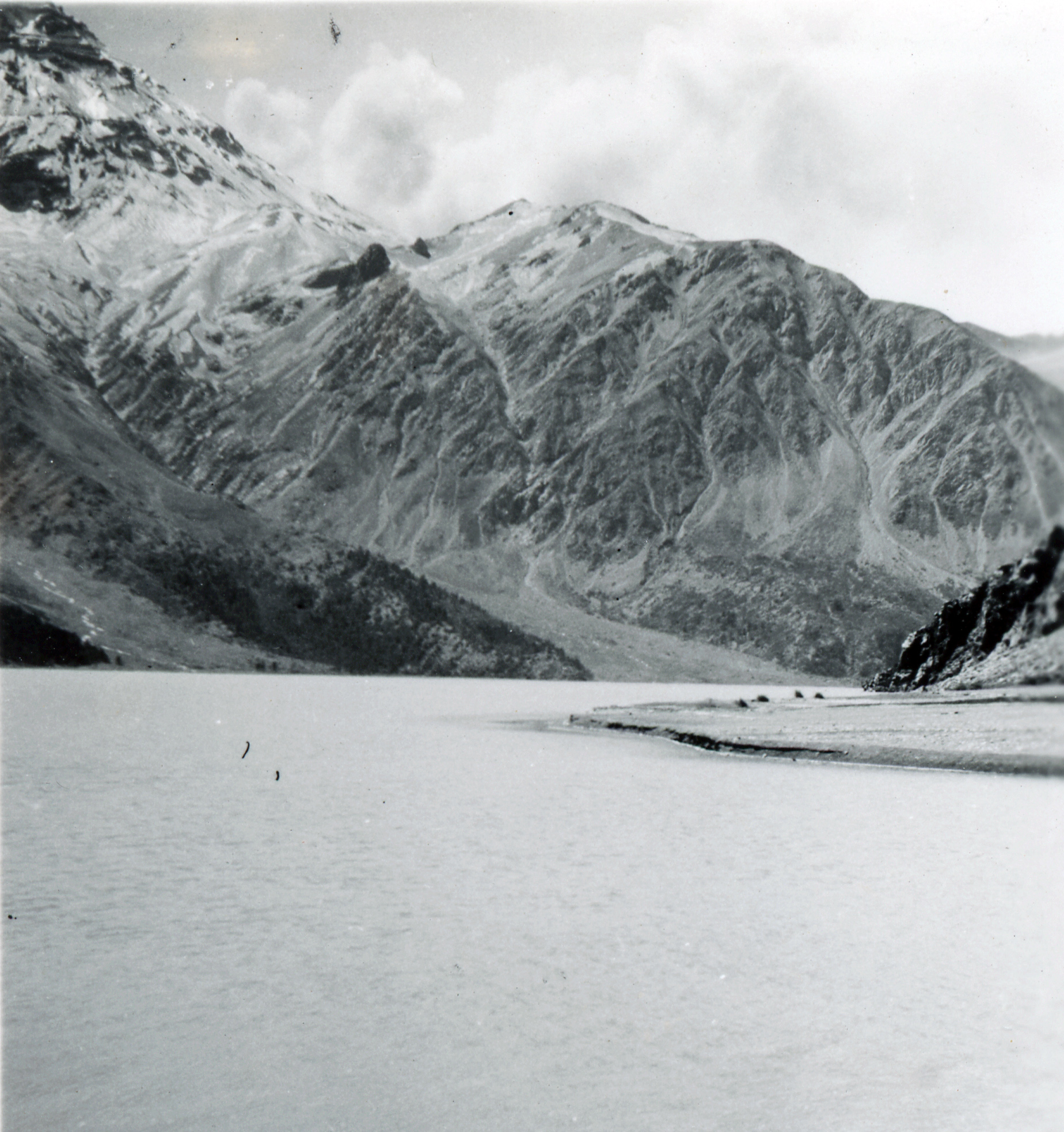 Reserva Los Cipreses, Machalí, en 1949