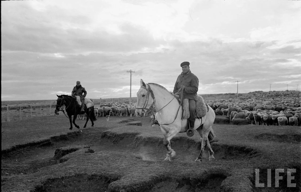 Gauchos en la Patagonia, 1950