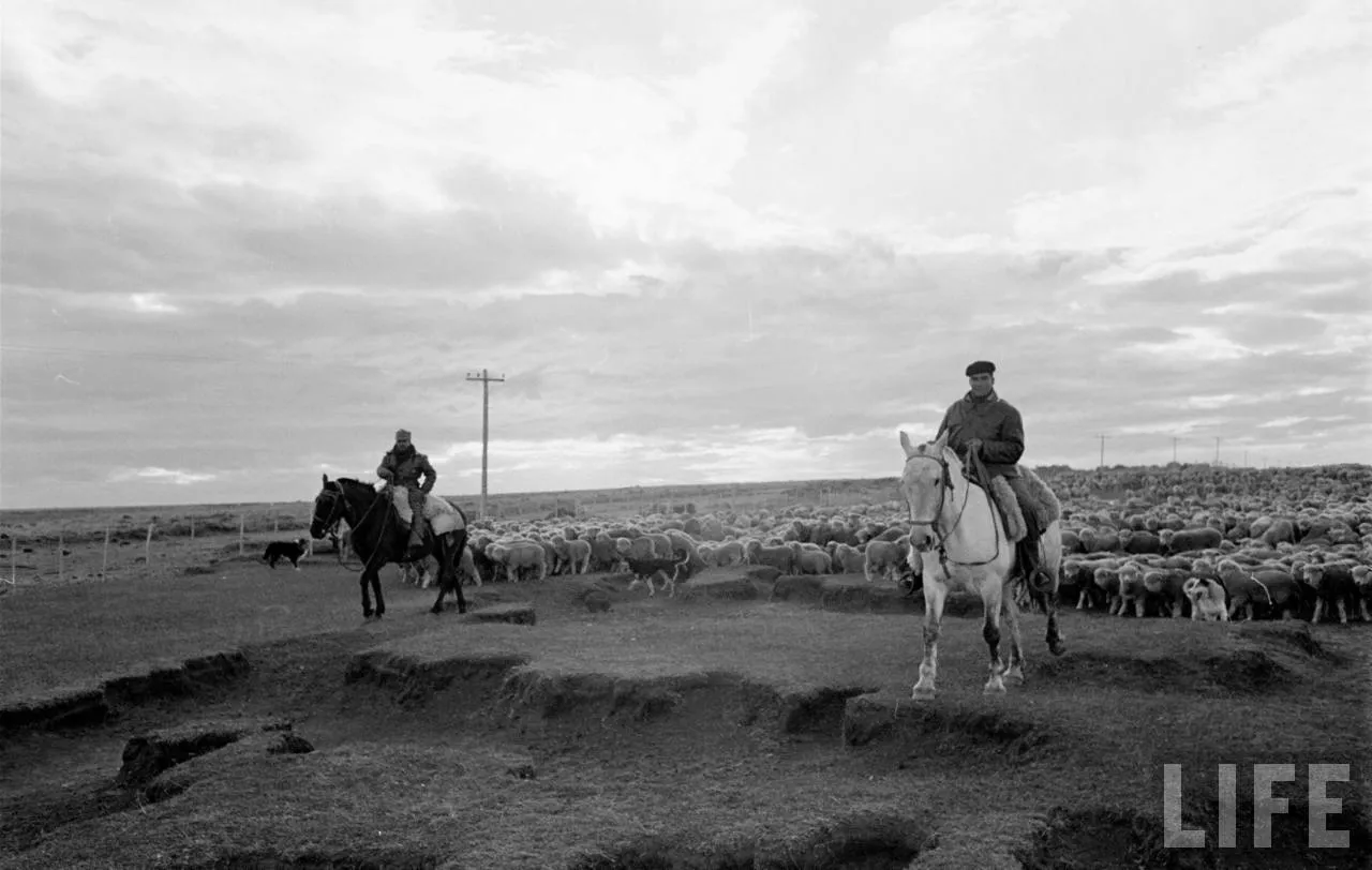 Gauchos en la Patagonia, 1950