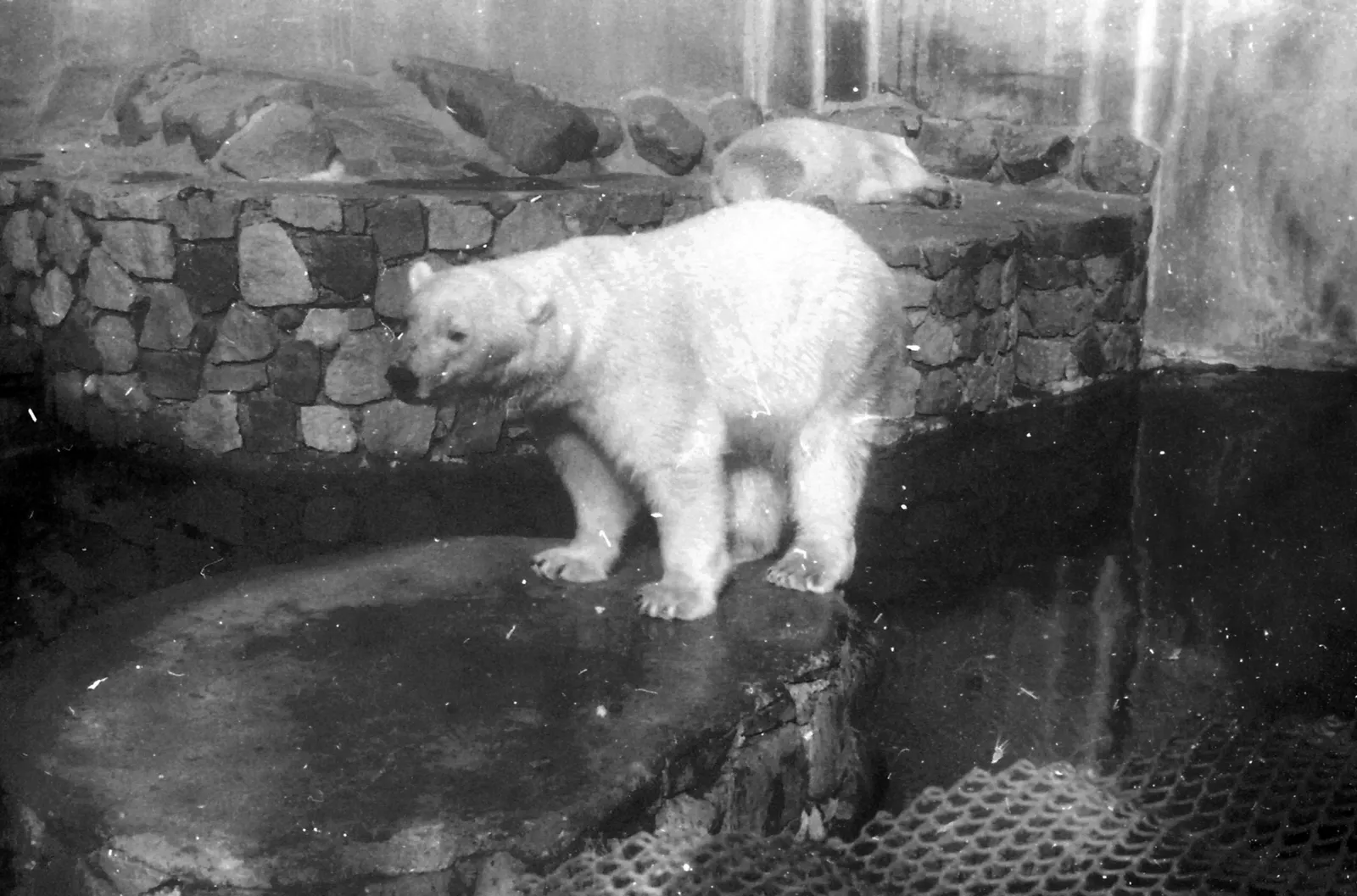 Zoológico de Santiago hacia 1970