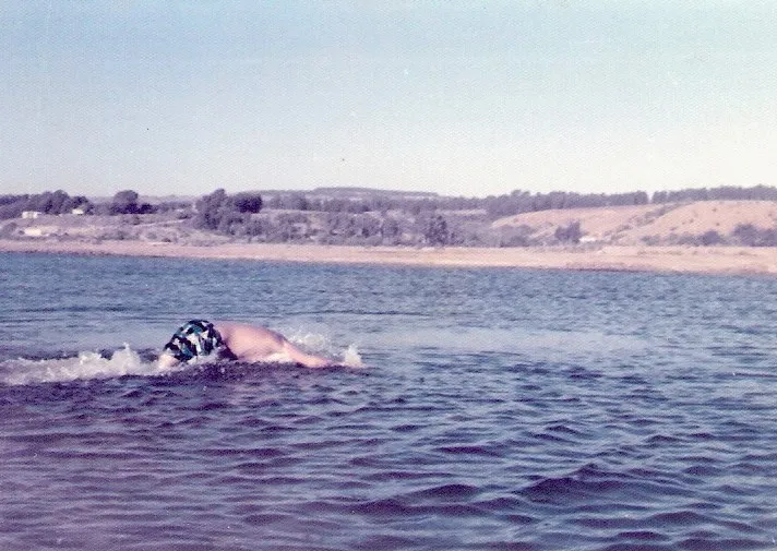 Algarrobo norte en 1974