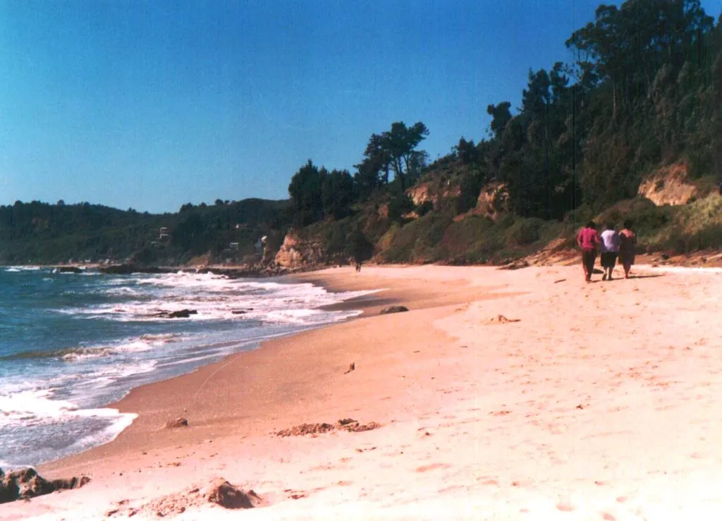 Playa de Cocholgüe en 1986