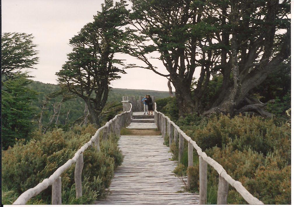 Parque Japonés de Punta Arenas en 1994