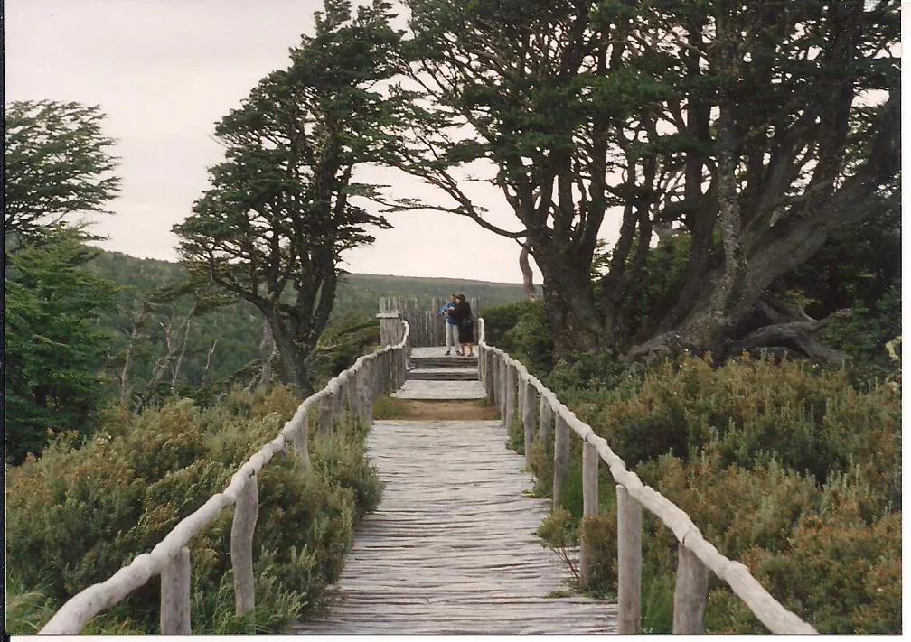 Parque Japonés de Punta Arenas en 1994
