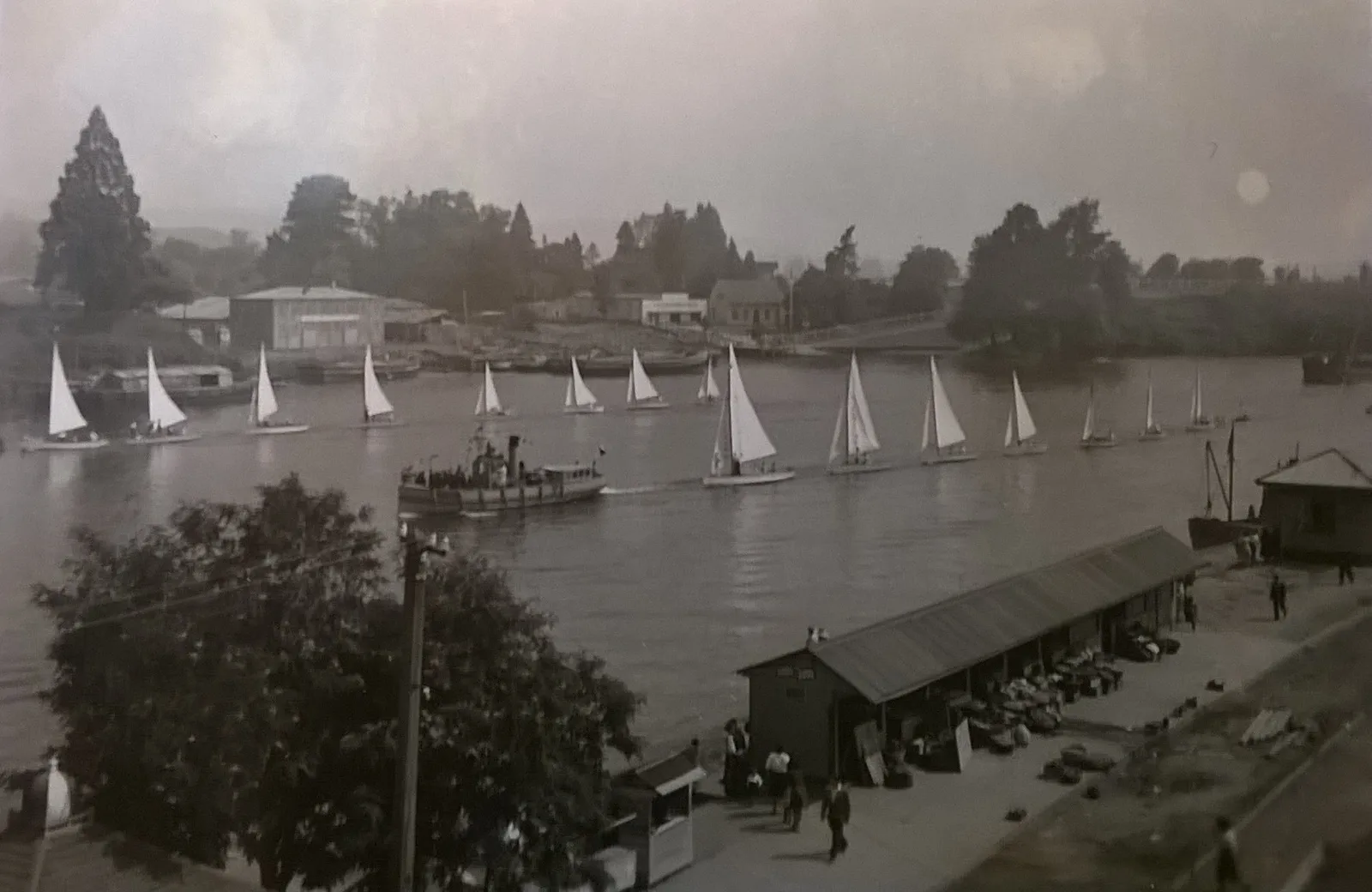 Veleros en el Río Calle Calle en 1930