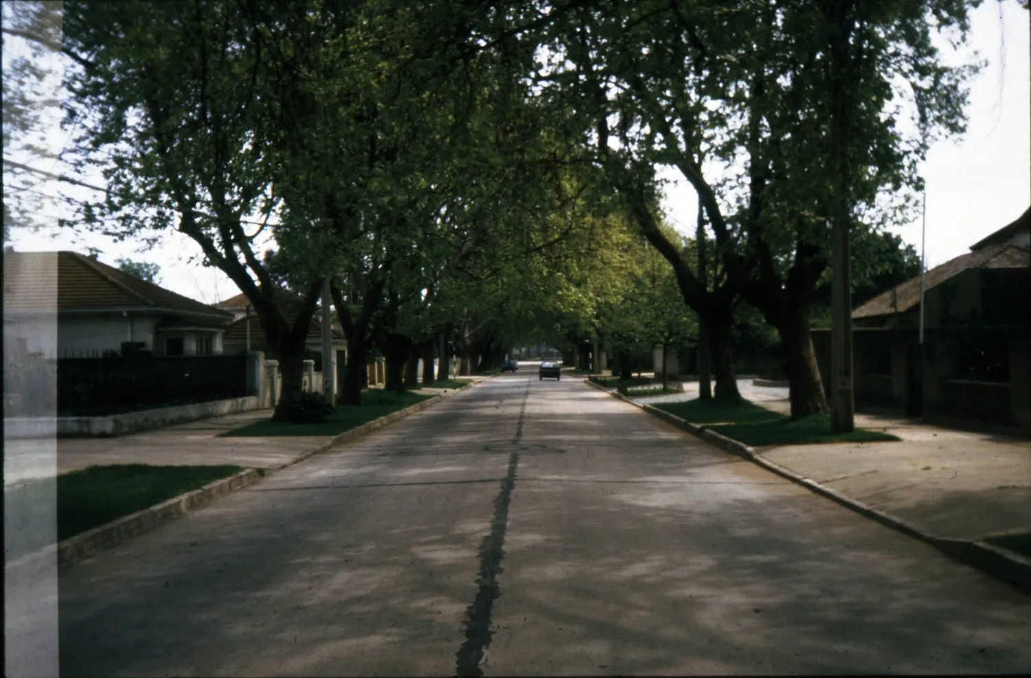 Calle Los Plátanos, Viña del Mar en 1984