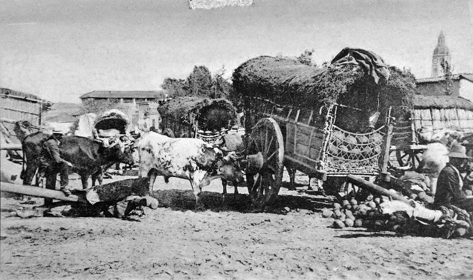 Venta de sandías en la Vega de Santiago ca. 1900