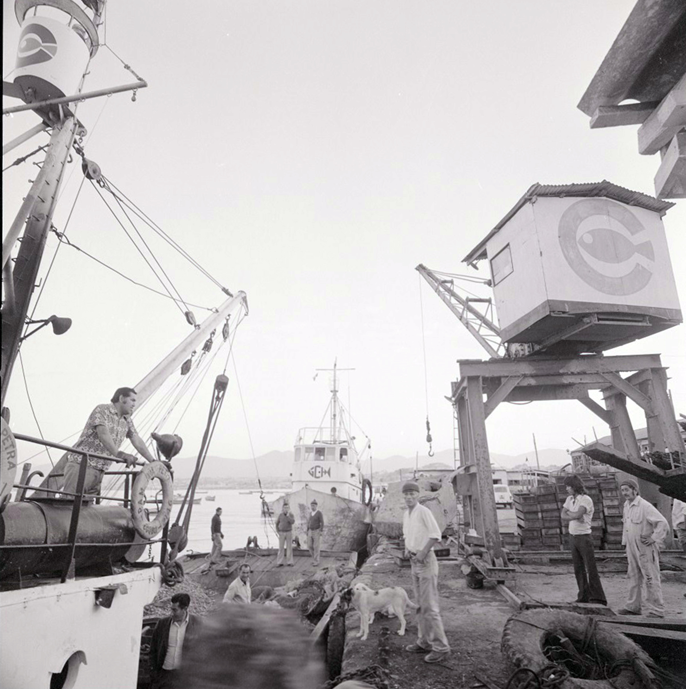 Descarga de mariscos en el puerto de Coquimbo, 1976