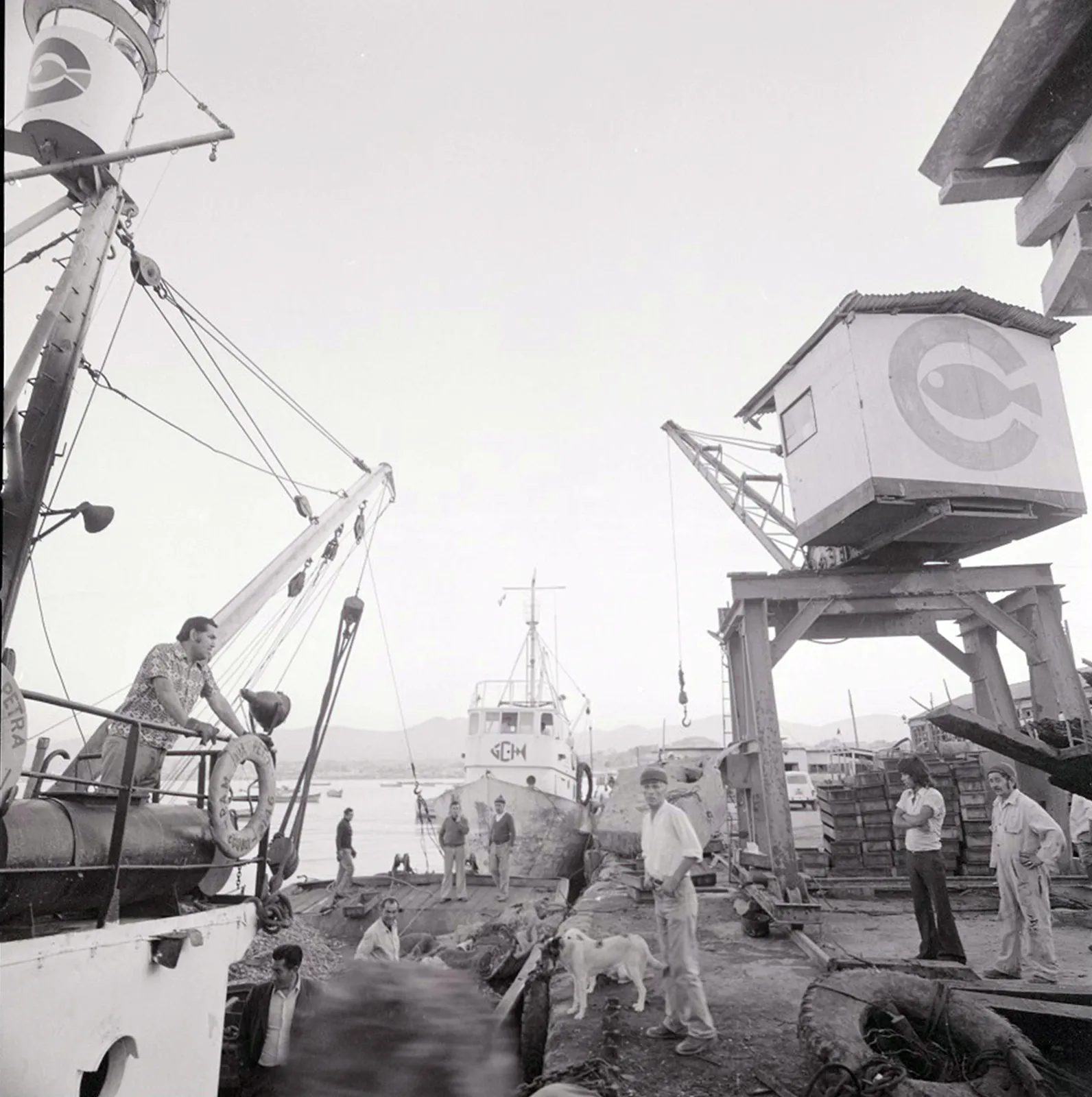 Descarga de mariscos en el puerto de Coquimbo, 1976