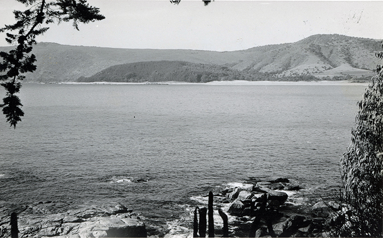 Bahía de Papudo en 1960