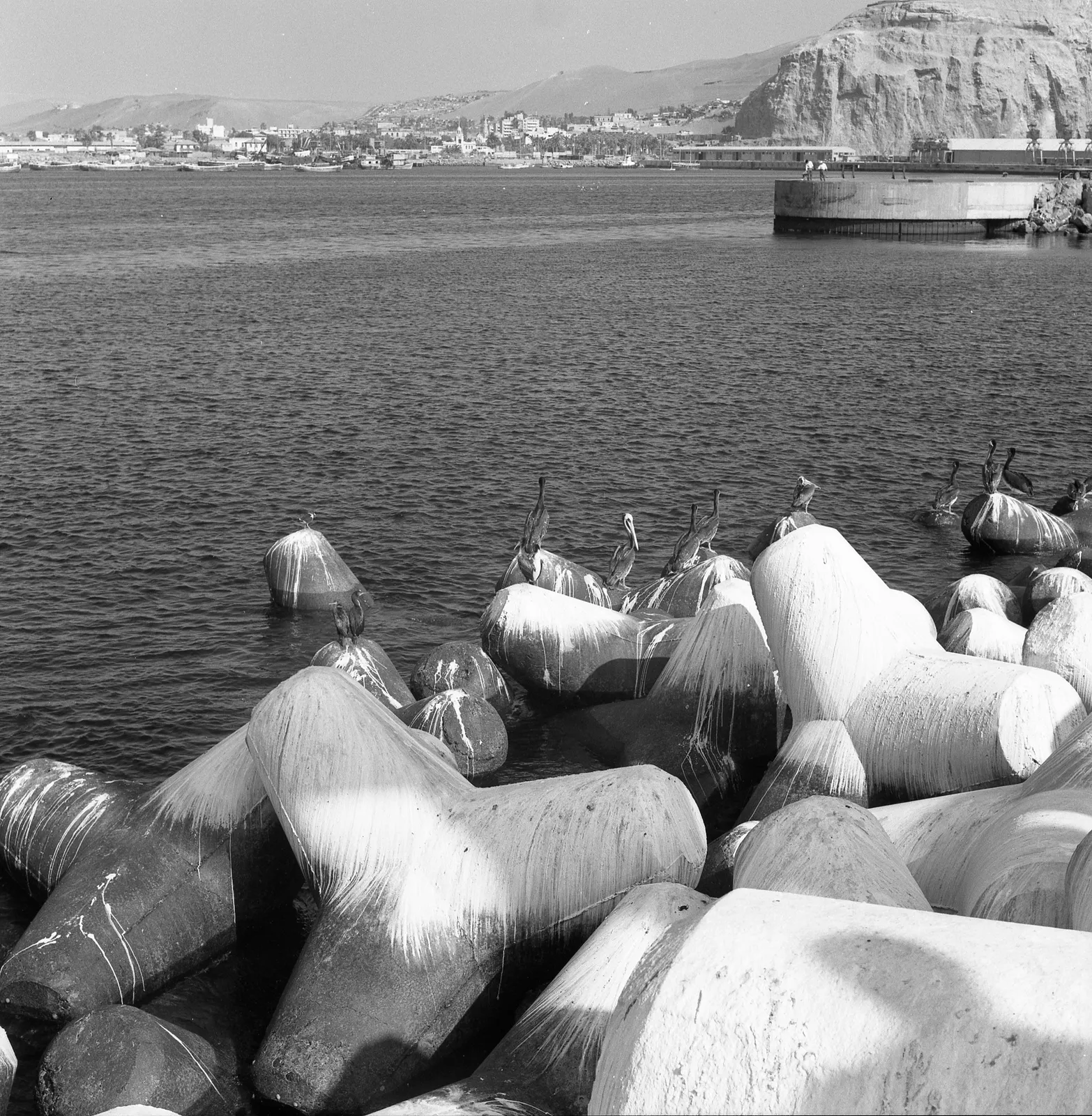Puerto de Arica en 1970