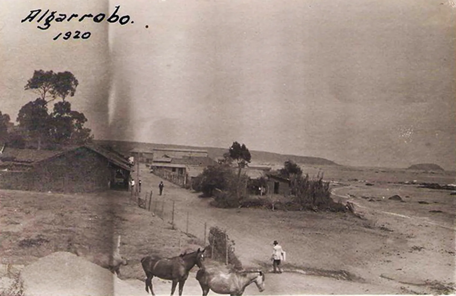 Algarrobo en 1920