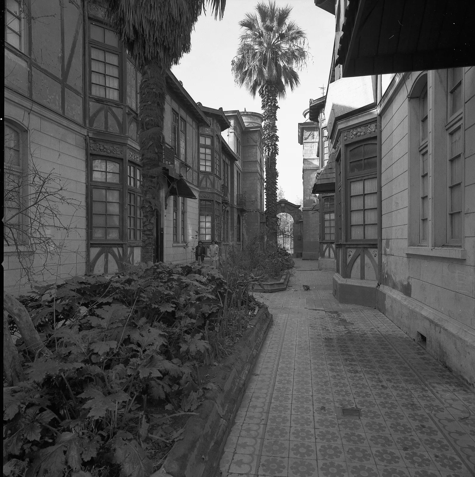 Cité las Palmas en Quinta Normal, en 1975