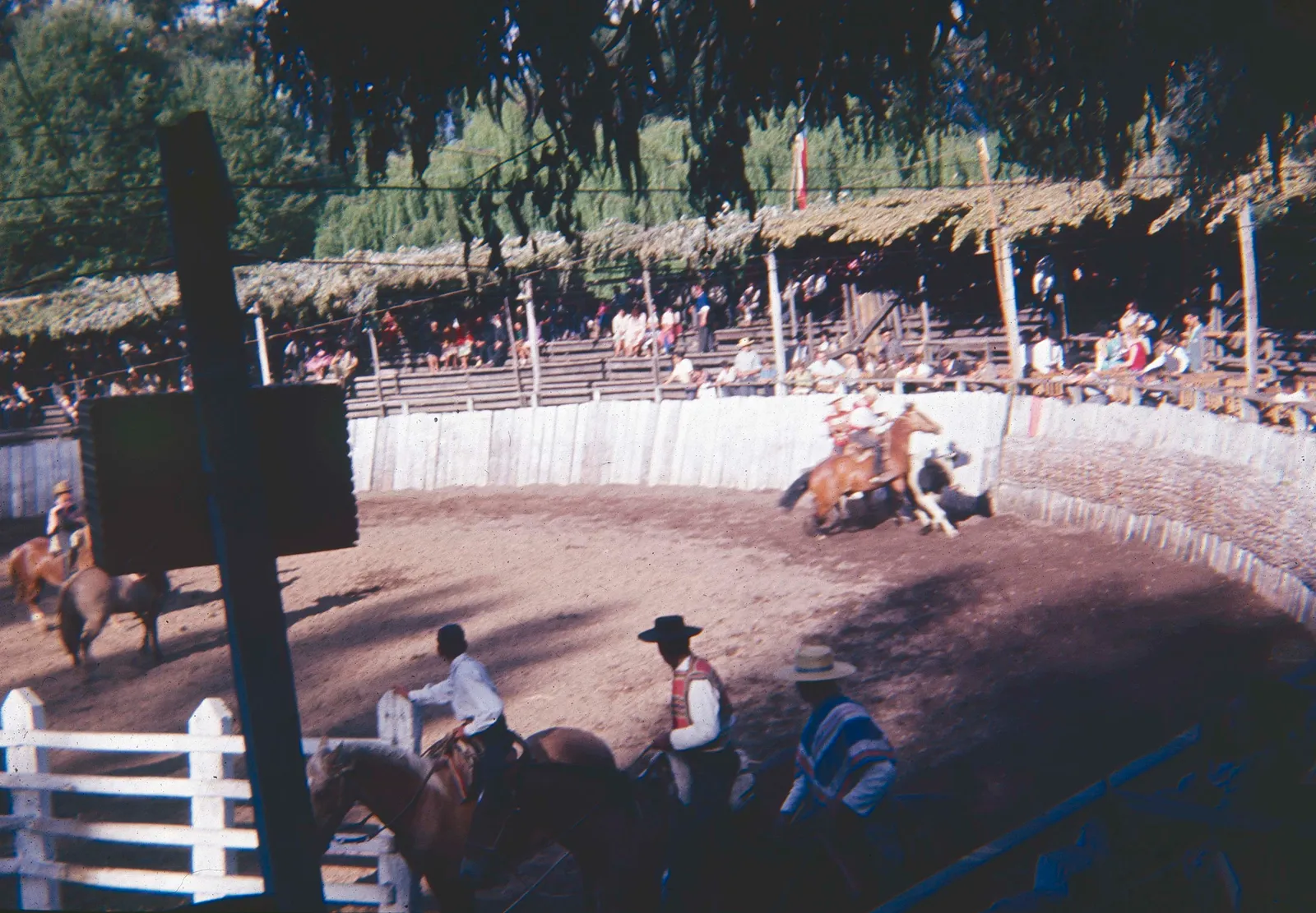 Medialuna de Curicó en los 60