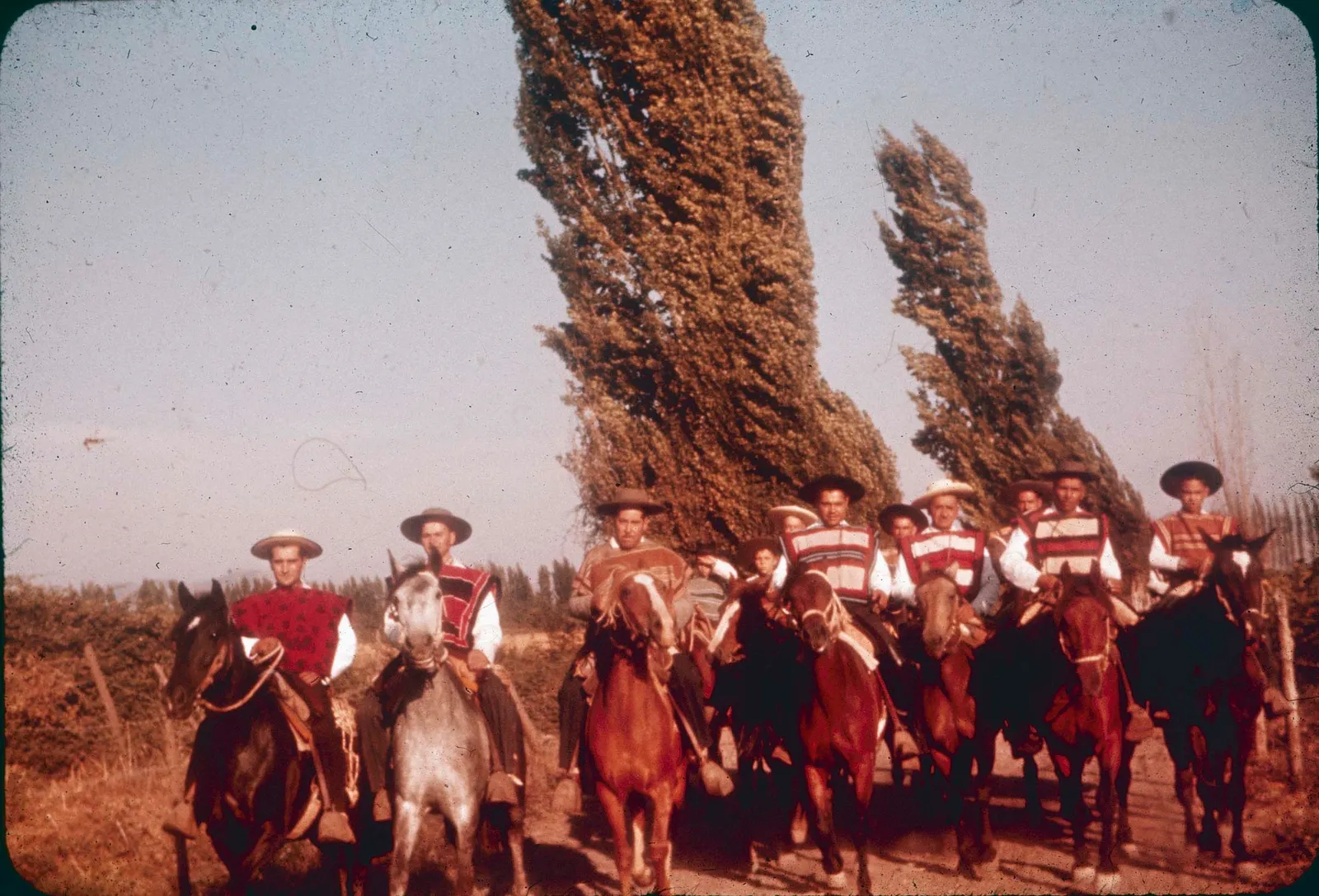Huasos a caballo en Curicó en los 60