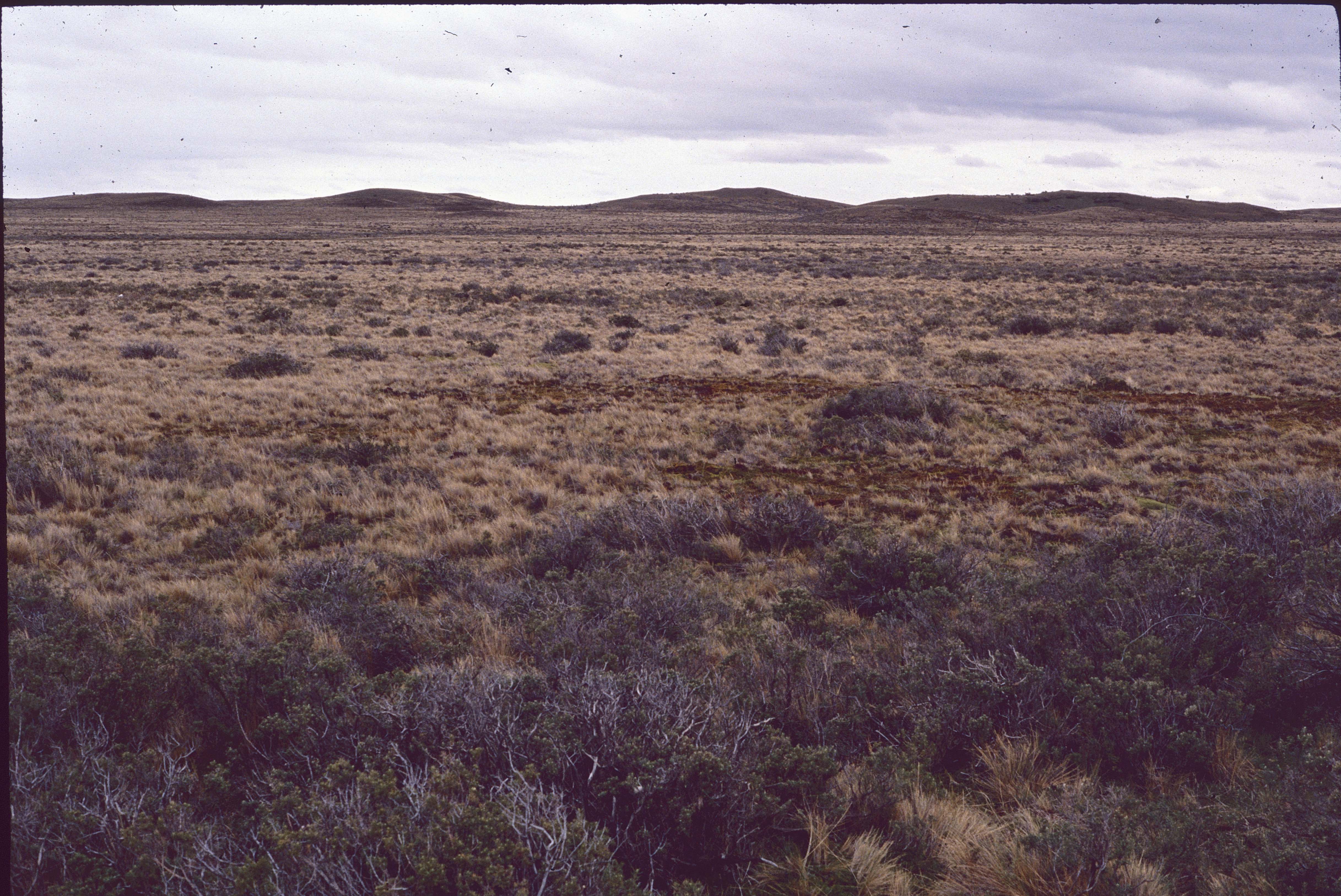 Paisaje de la Patagonia en 1990
