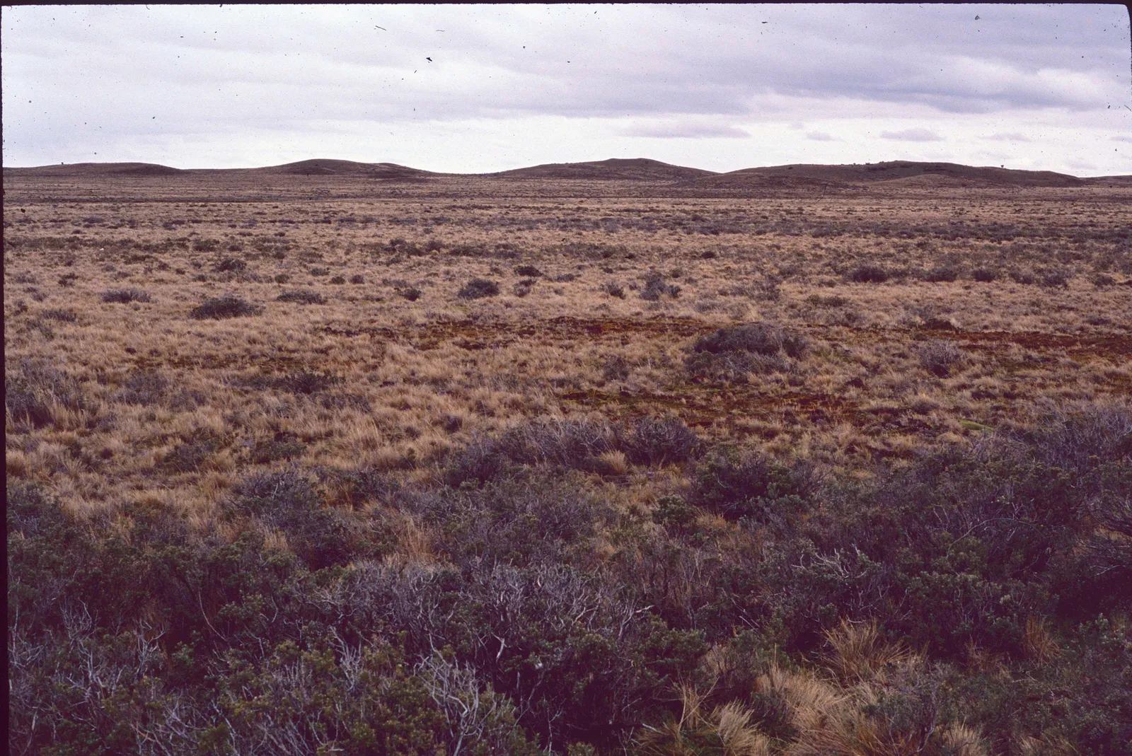 Paisaje de la Patagonia en 1990