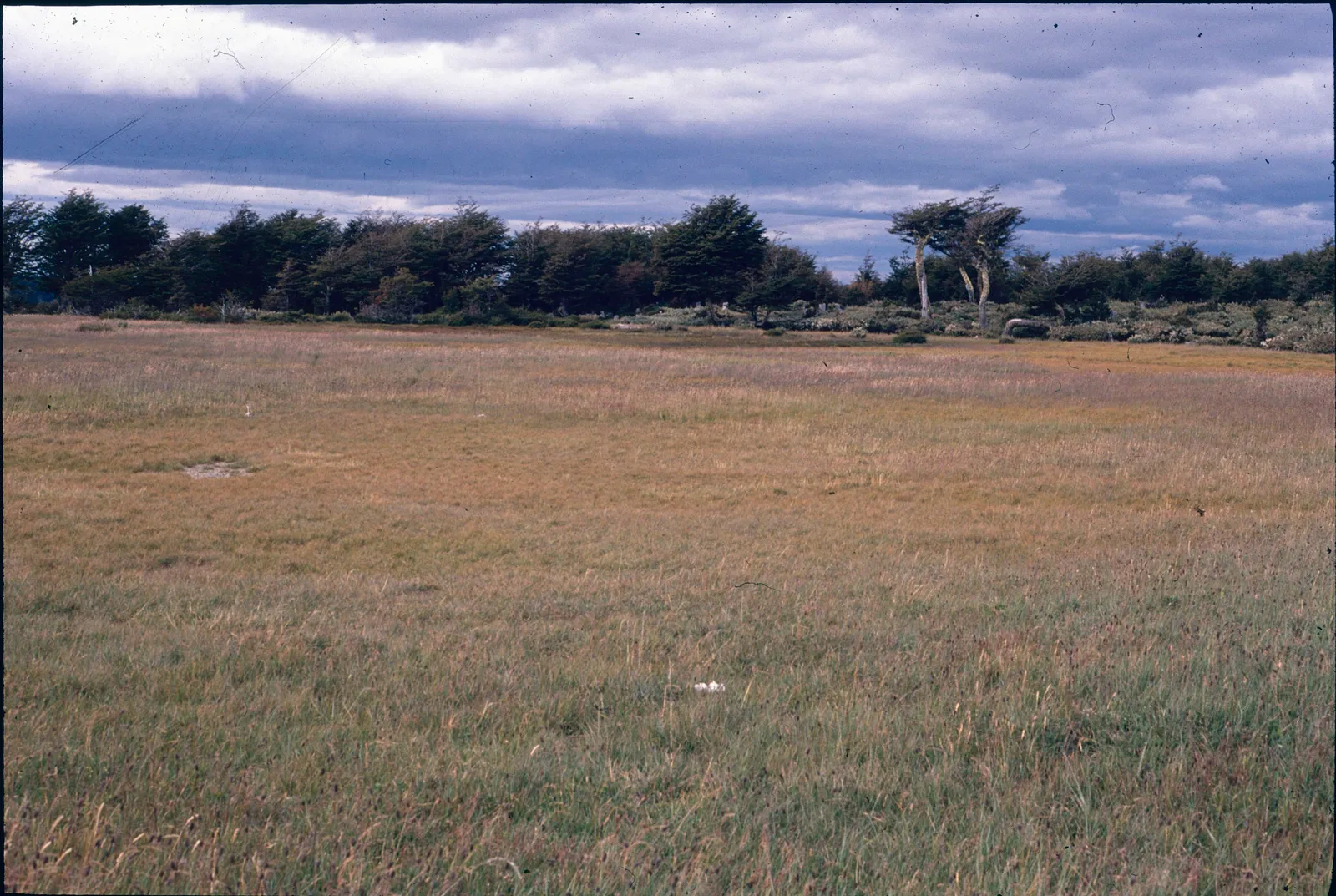 Patagonia en los 90s