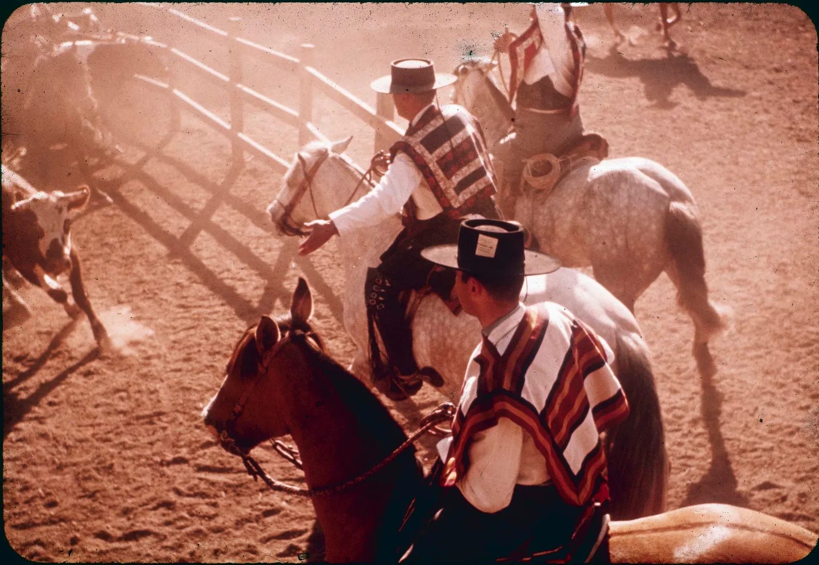 Huasos en rodeo de Curicó